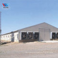 Steel structure poultry chicken house, steel frame cow farm building, chicken poultry house